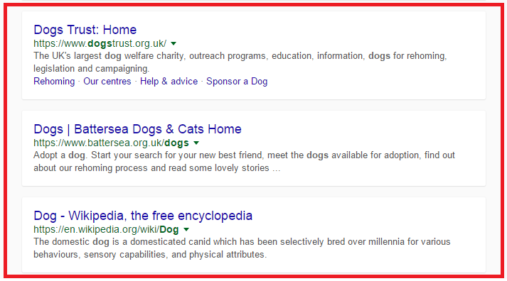 Google testing card snippets